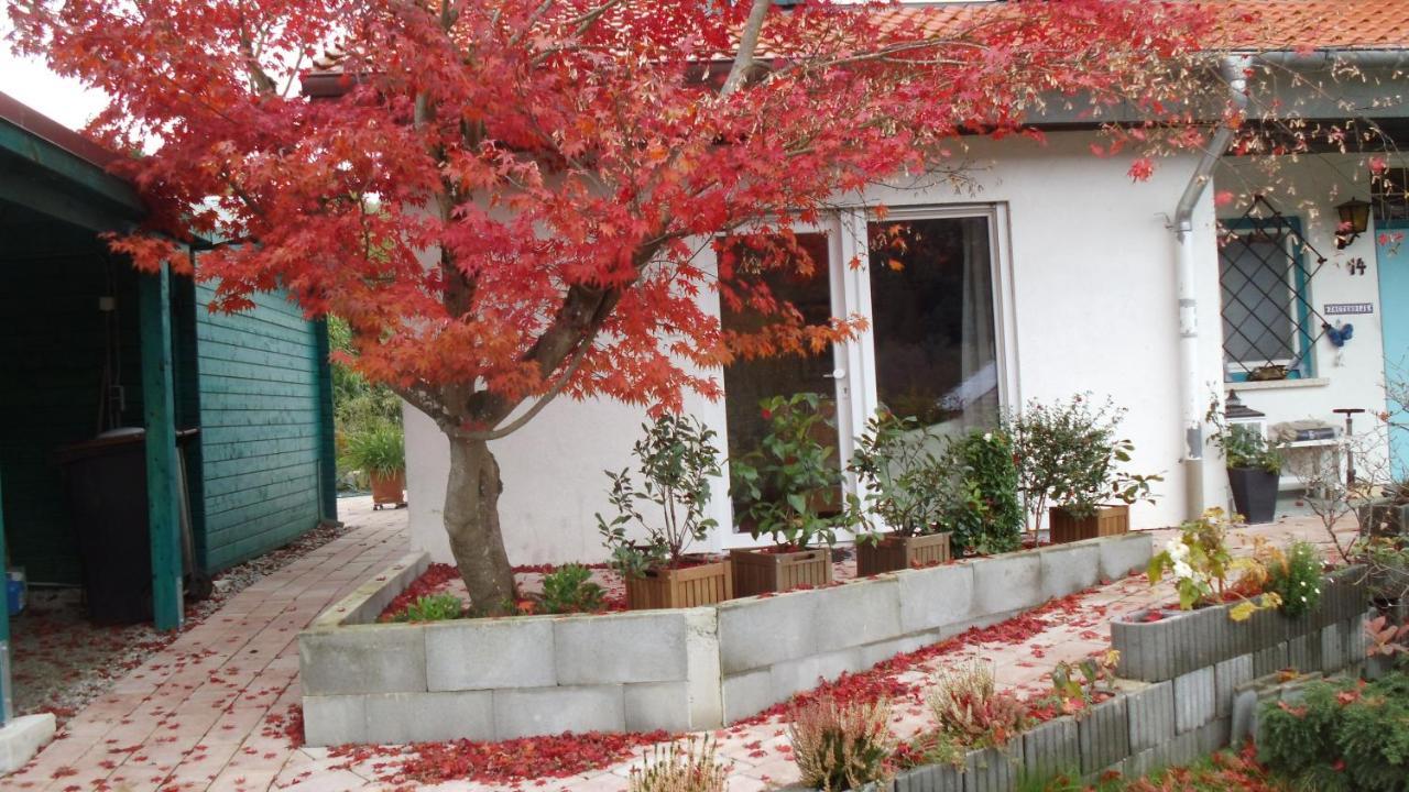 דירות קנדרן Haus Magnolia 2 מראה חיצוני תמונה